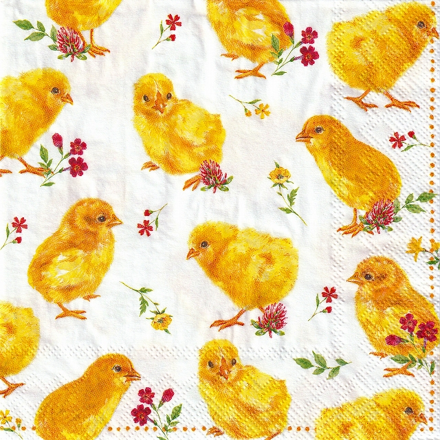 ５枚組ペーパーナプキン＊Chicks