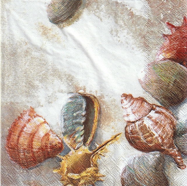５枚組ペーパーナプキン＊Shells on the beach