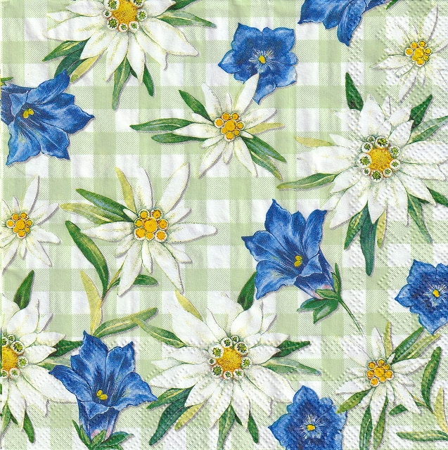 ５枚組ペーパーナプキン＊アルペングリーン