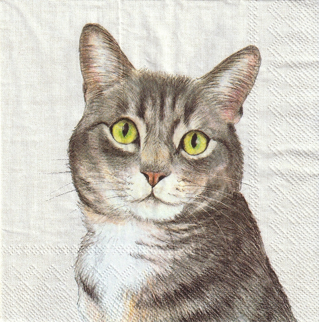 ５枚組ペーパーナプキン＊Farm Cat