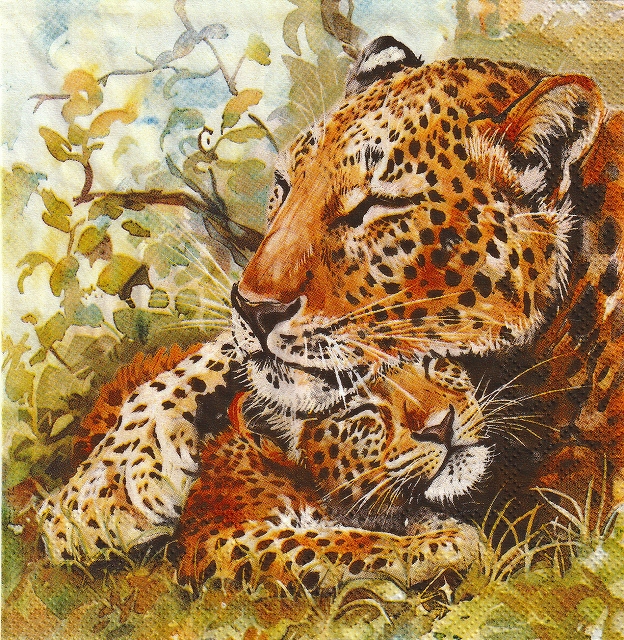 ５枚組ペーパーナプキン＊レパード