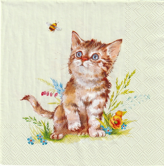 ５枚組ペーパーナプキン＊Kira