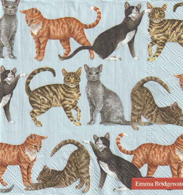 ５枚組ペーパーナプキン＊CATS