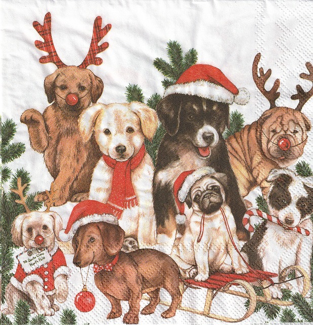 ５枚組ペーパーナプキン＊DOG Xmas
