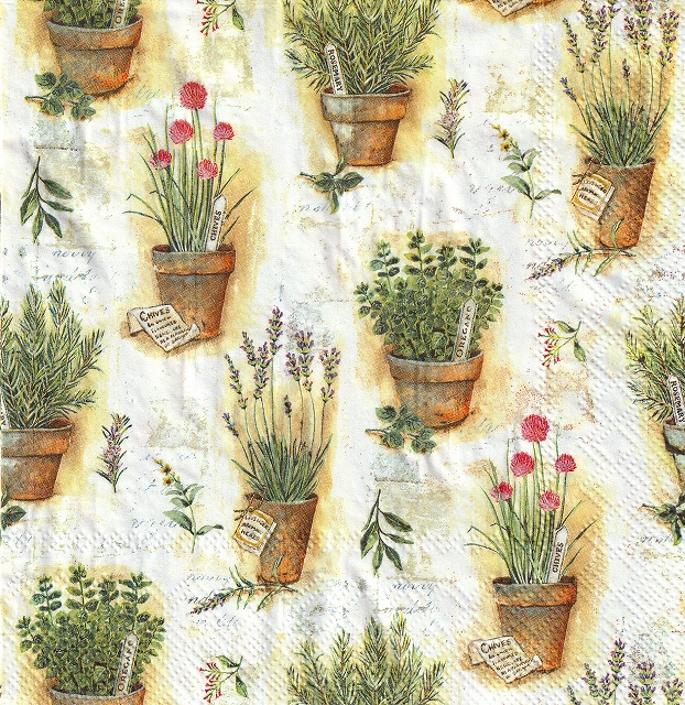 ５枚組ペーパーナプキン＊Herbs in Pots