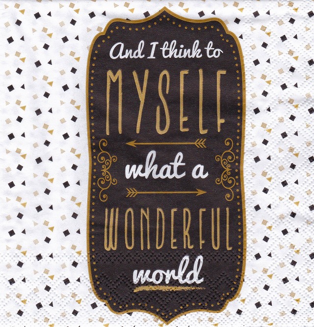 ５枚組ペーパーナプキン＊Wonderful World