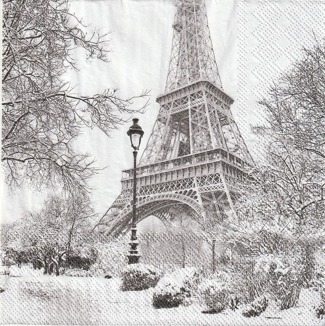 ５枚組ペーパーナプキン＊Winter in Paris