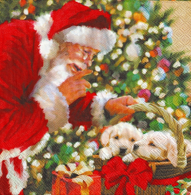 ５枚組ペーパーナプキン＊Be Quiet