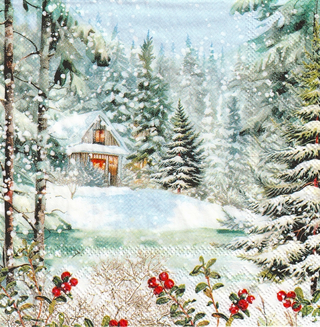 ５枚組ペーパーナプキン＊キャビン