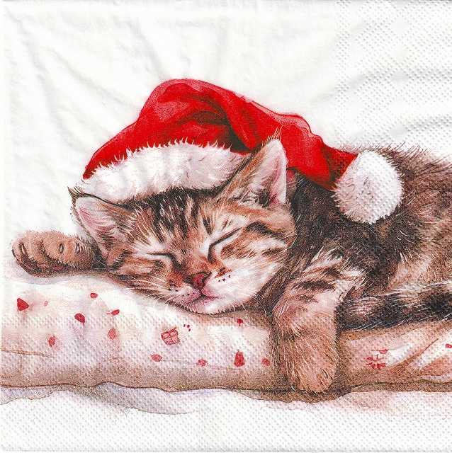 ５枚組ペーパーナプキン＊Dreaming