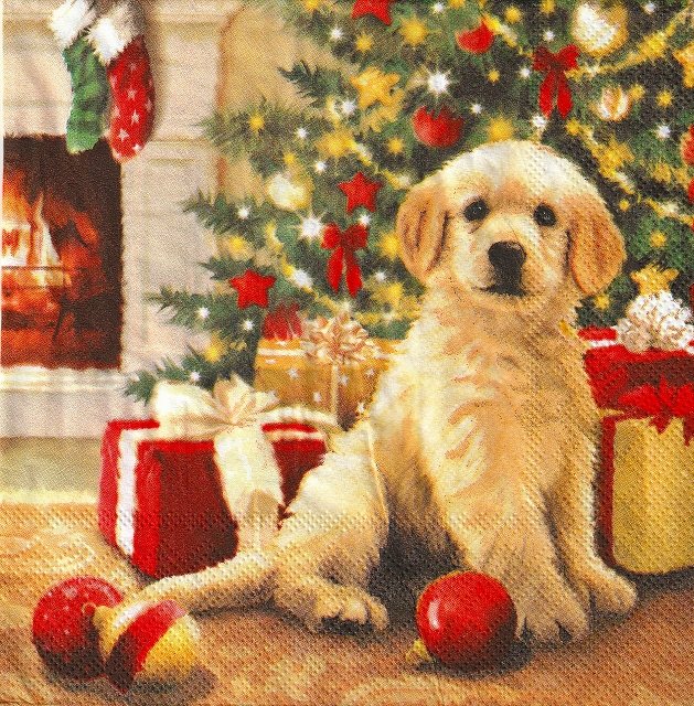 ５枚組ペーパーナプキン＊Waiting for Presents