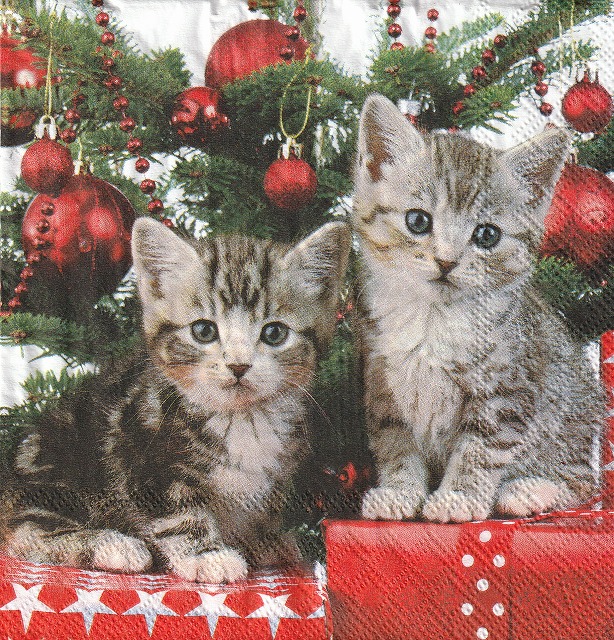 ５枚組ペーパーナプキン＊Christmas Kitten