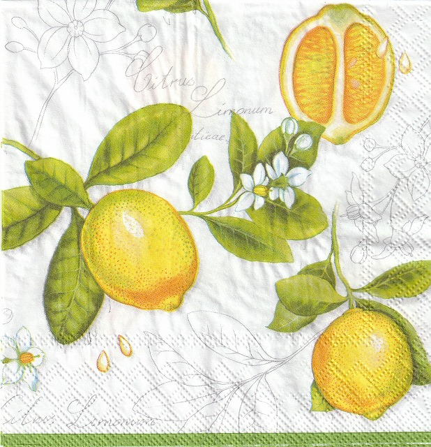 ５枚組ペーパーナプキン＊Limonum