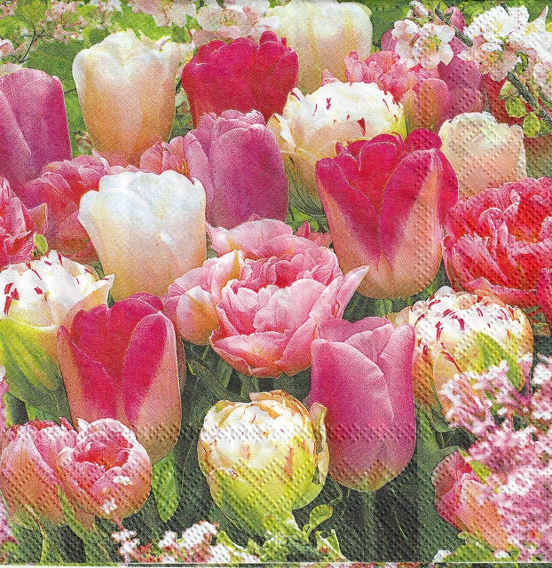 ５枚組ペーパーナプキン＊Pink Tulips