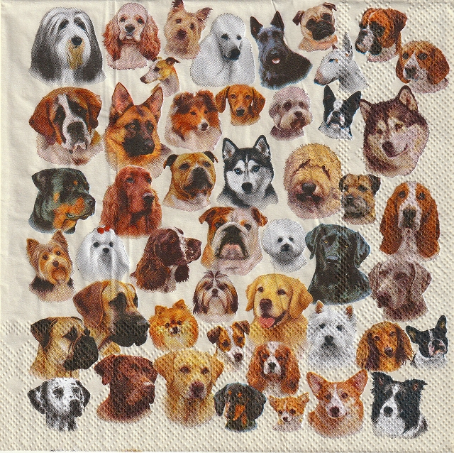 ５枚組ペーパーナプキン＊Collection of Dog