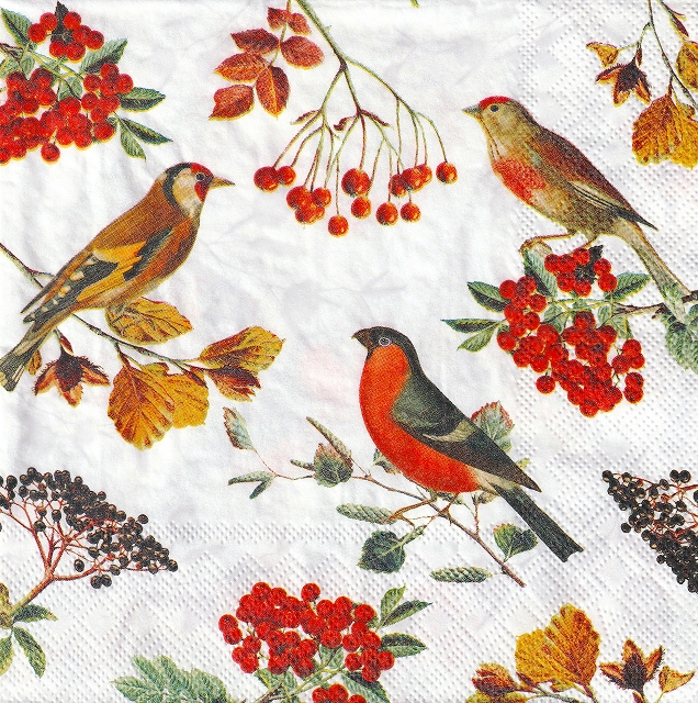 ５枚組ペーパーナプキン＊Autumn Birds
