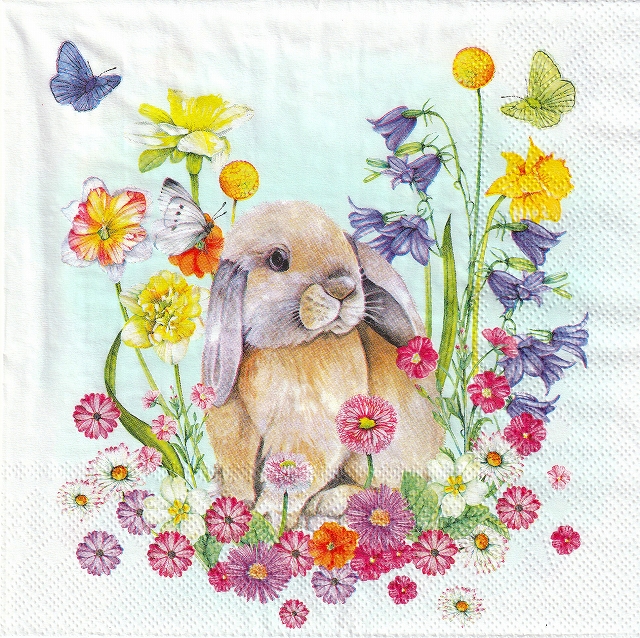 ５枚組ペーパーナプキン＊Little Rabbit