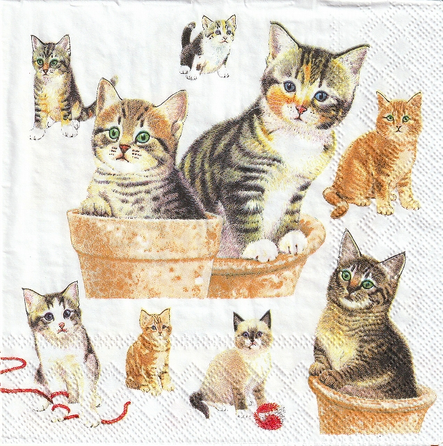 ５枚組ペーパーナプキン＊Cute Kittens