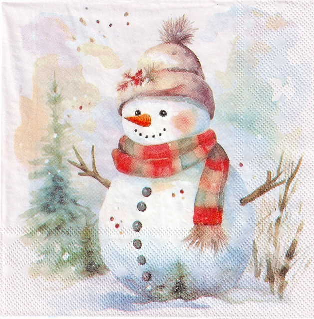 ５枚組ペーパーナプキン＊Snowman in Nature