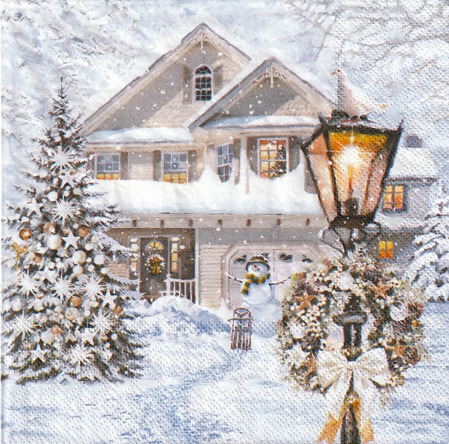 ５枚組ペーパーナプキン＊Christmas House