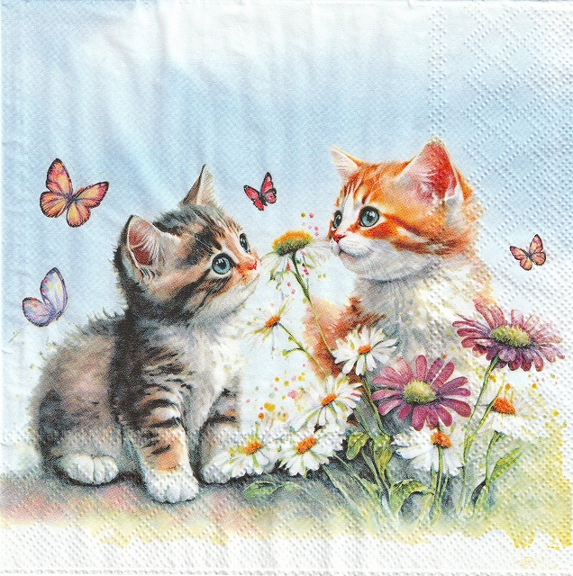 ５枚組ペーパーナプキン＊Kittens in Flower