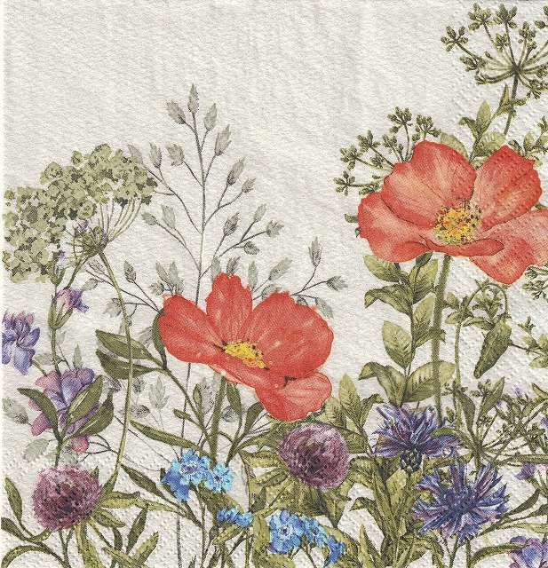 ５枚組ペーパーナプキン＊Meadow in June