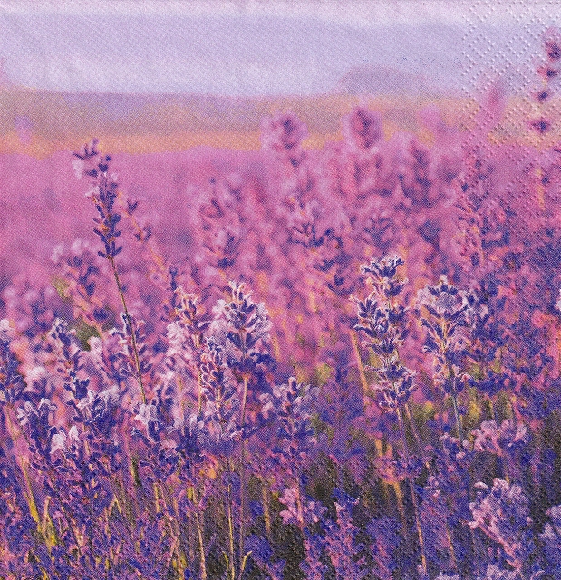 ５枚組ペーパーナプキン＊Field of Lavender