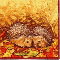Hedgehog
