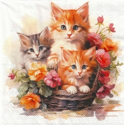 カクテルサイズ５枚組＊Kittens in basket