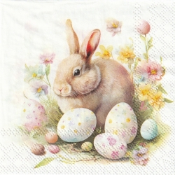 カクテルサイズ５枚組＊Bunny and Eggs