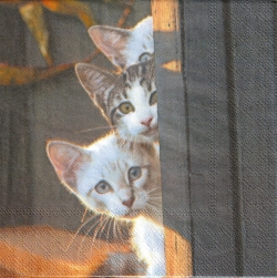 ５枚組ペーパーナプキン＊Three Friends
