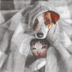 ５枚組ペーパーナプキン＊Two Friends Ｂ