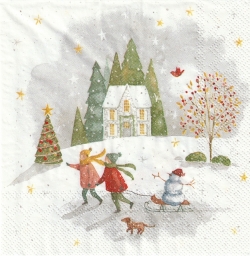 ５枚組ペーパーナプキン＊Looking for