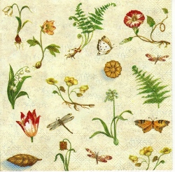 Botanical Study