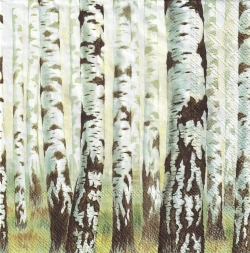 ５枚組ペーパーナプキン＊Magic Trees