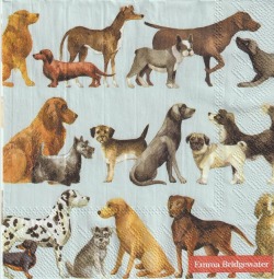 ５枚組ペーパーナプキン＊DOGS