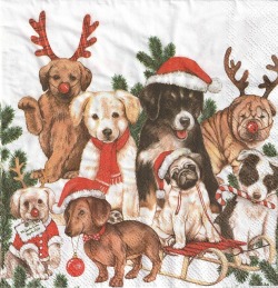 ５枚組ペーパーナプキン＊DOG Xmas
