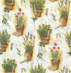 ５枚組ペーパーナプキン＊Herbs in Pots
