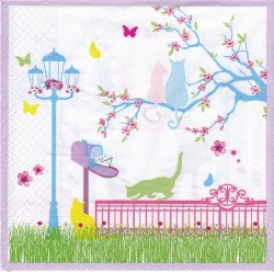 Cats Freedom