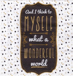 ５枚組ペーパーナプキン＊Wonderful World