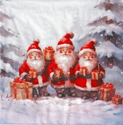 ５枚組ペーパーナプキン＊トリプル