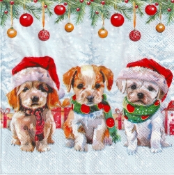 ５枚組ペーパーナプキン＊Cute Puppies