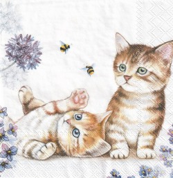 ５枚組ペーパーナプキン＊Cats and Bees