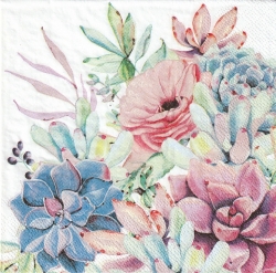 ５枚組ペーパーナプキン＊Succulent Love