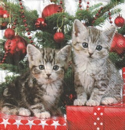 ５枚組ペーパーナプキン＊Christmas Kitten