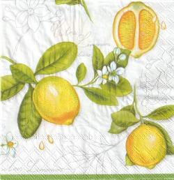 ５枚組ペーパーナプキン＊Limonum