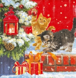 ５枚組ペーパーナプキン＊Kittens