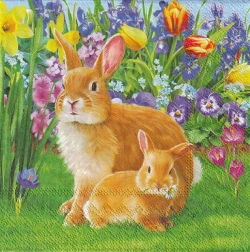 ５枚組ペーパーナプキン＊Mother Bunny