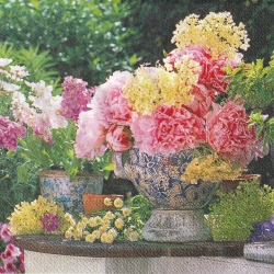 ５枚組ペーパーナプキン＊Potted Flowers