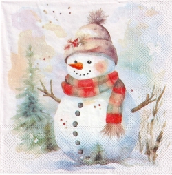５枚組ペーパーナプキン＊Snowman in Nature